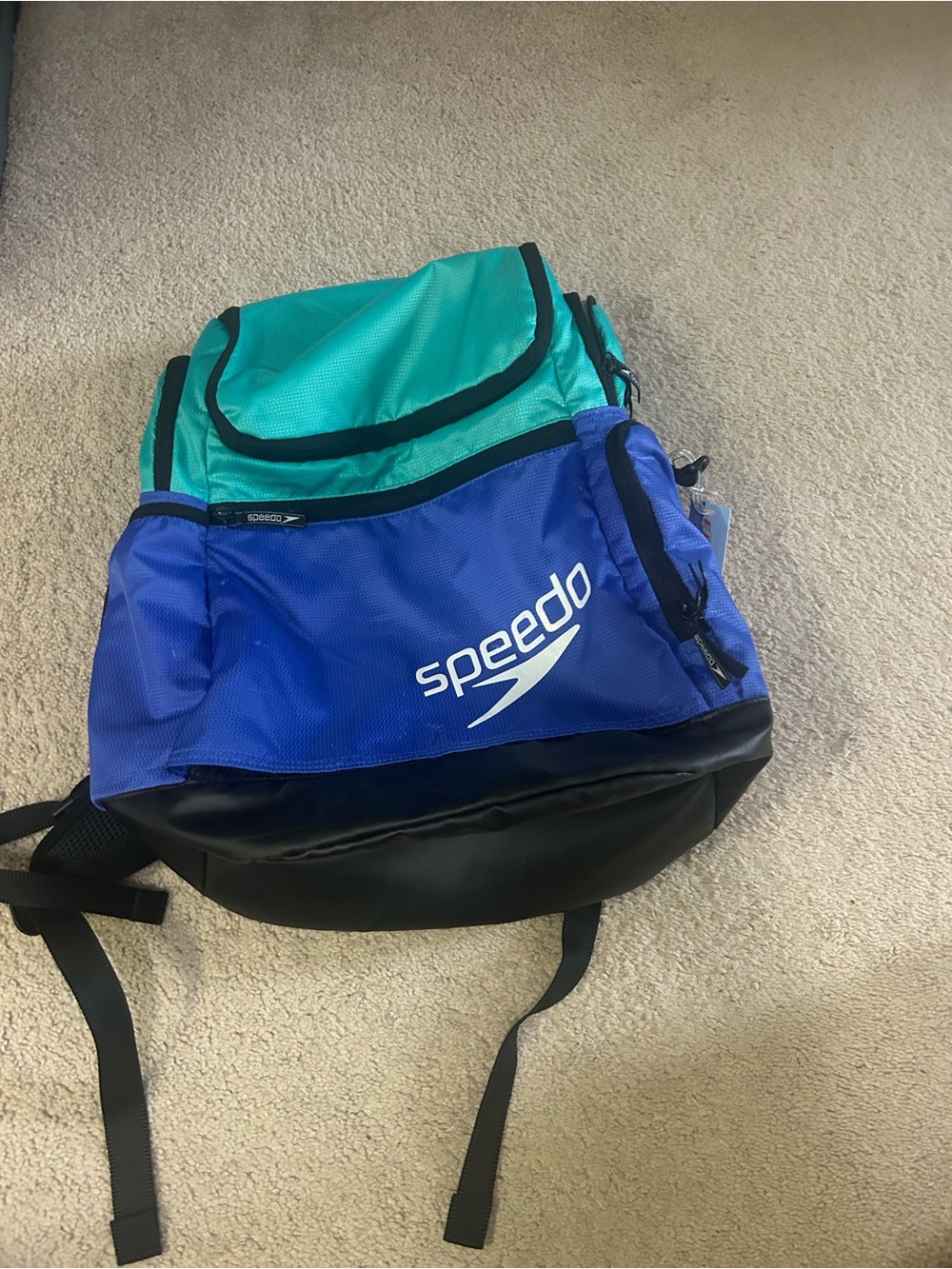 Speedo Teamster Swim Backpack 2.0 - Teal and Blue with Black base